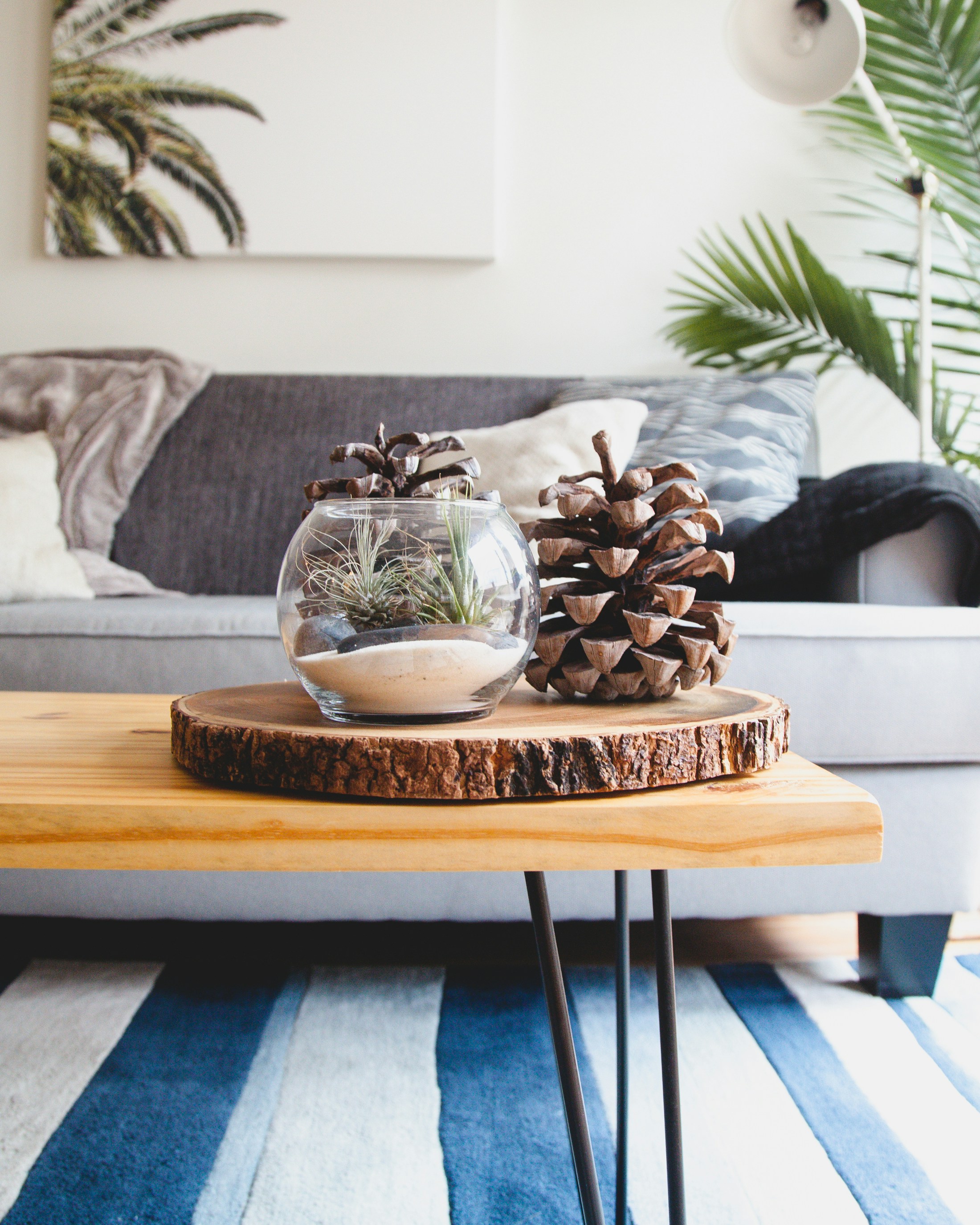 Cozy living room with a wooden coffee table, a terrarium and pinecones, and a gray couch in the background
